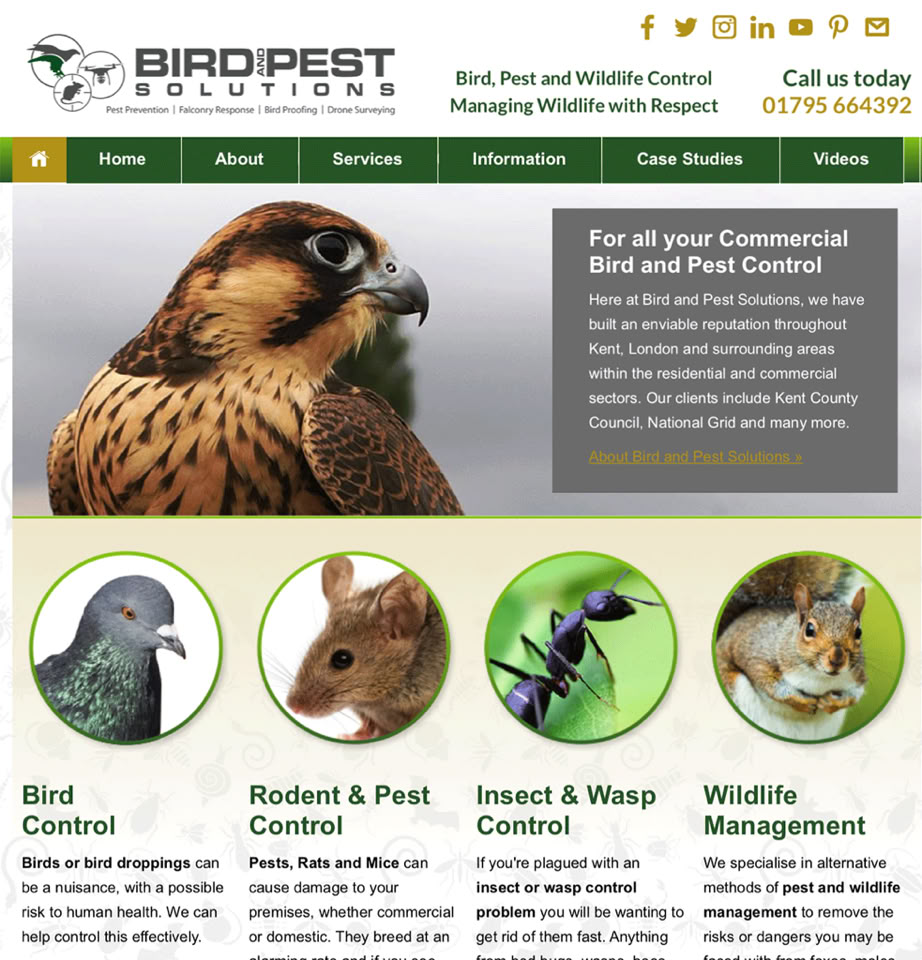 Bird & Pest Solutions Website